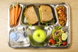 Picture of a lunch tray with food