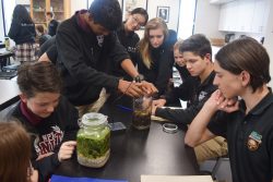 Students gathered around a biology experiment to observe the specimen.